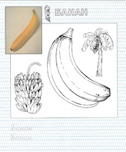 раскраска банан